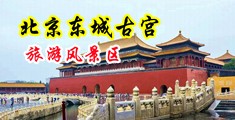 18骚逼白浆视频中国北京-东城古宫旅游风景区